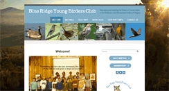 Desktop Screenshot of blueridgeyoungbirders.org